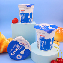 Coming to Siergen Taste Yogurt 136g * 12 Cup Box Whole Boxes Batch price Yunnan Dali Breakfast Flavor Yogurt Children
