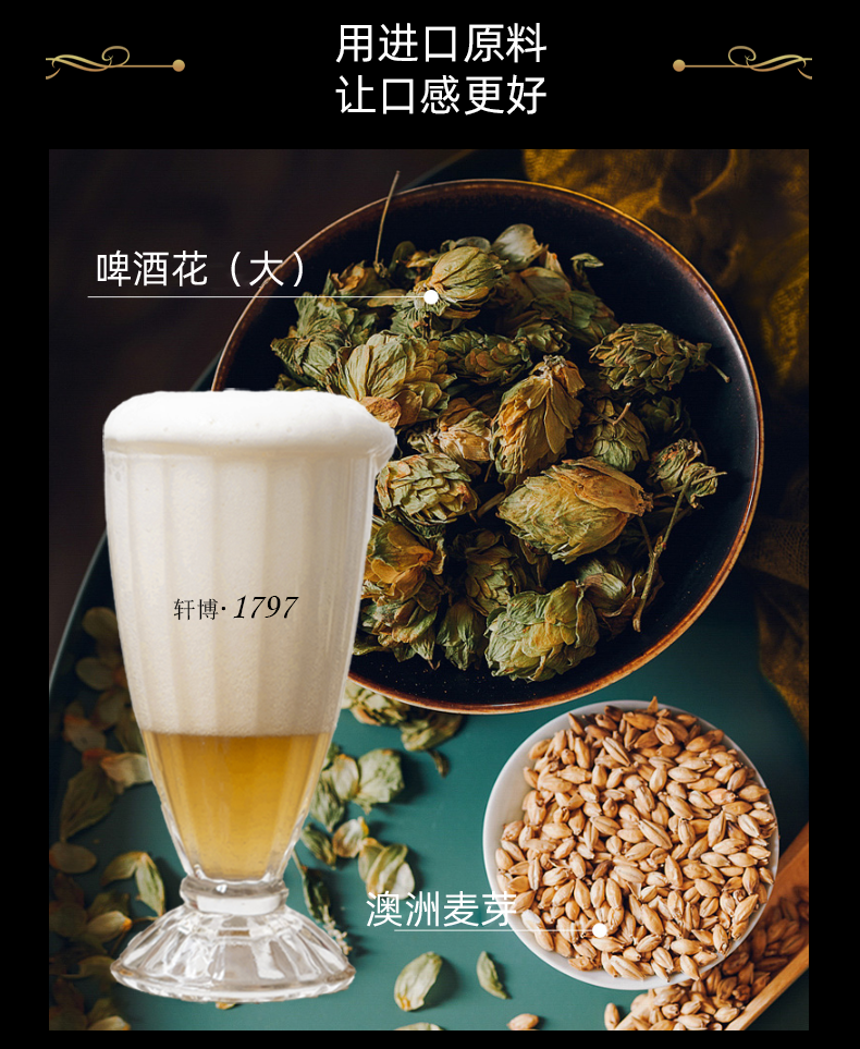 埃丁格 德系精酿啤酒 1L 图3