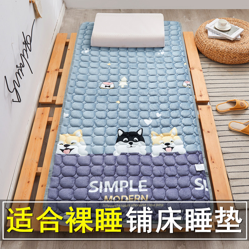 Winter blanket laying sleeping mat 1 2m student dormitory mat single bunk flannel bedding mat coral