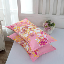 Chen set is sinking in the whole head and the whole head is set with a set of street stalls and trade fairs. Diamond velvet single pillowcase 45*76 couple pillow