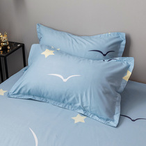 Chen set is sinking and the whole head is covered with silk cover and pillow case. A pair of washed cotton double 4874 single student dormitory