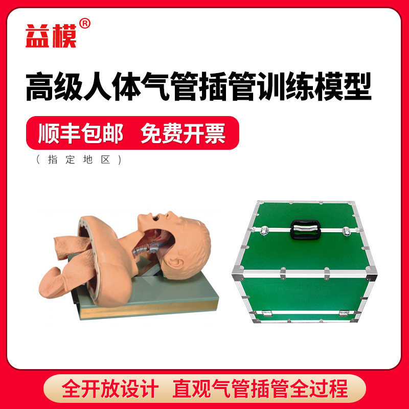 益模 高级人体气管插管训练模型 气管全开放解剖设计教学气道管理模拟人 口腔鼻腔插管成人体模型 带电子警报