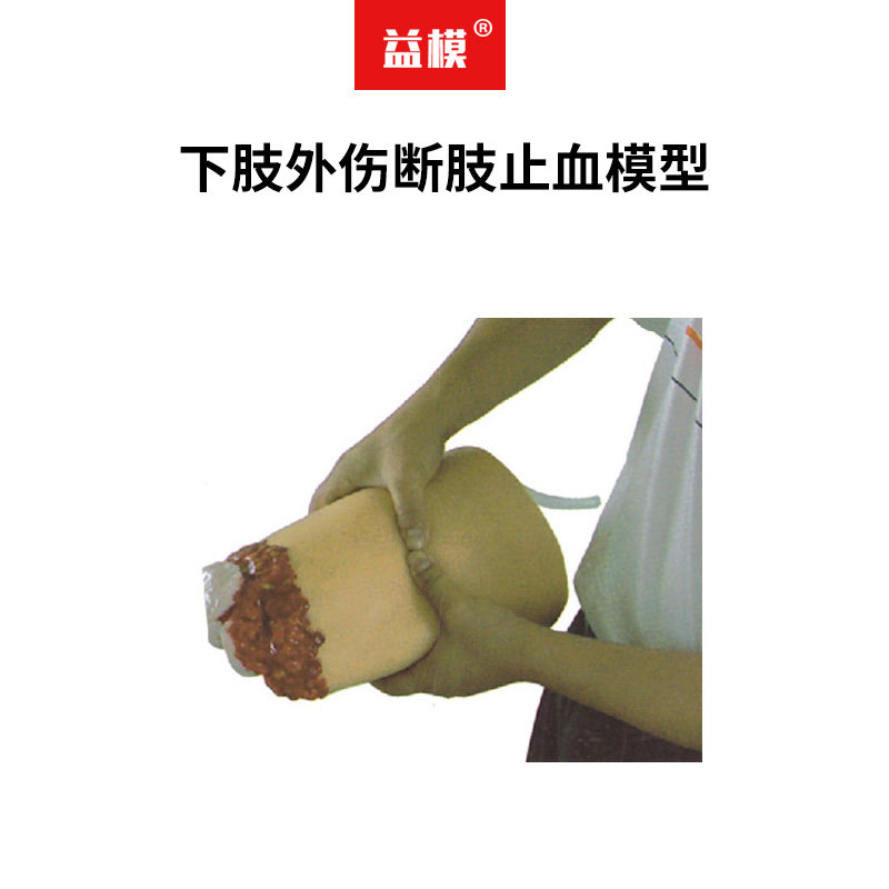 益模   下肢外伤断肢止血模型 股动脉压迫止血训练模型外科创伤包扎模具