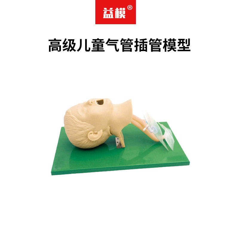 益模    高级儿童气管插管模型 儿童人体急救训练模型插管模型人体急救假人 小儿口鼻气管插管模具