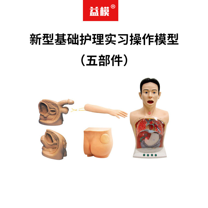 益模  新型基础护理实习操作模型（五部件）