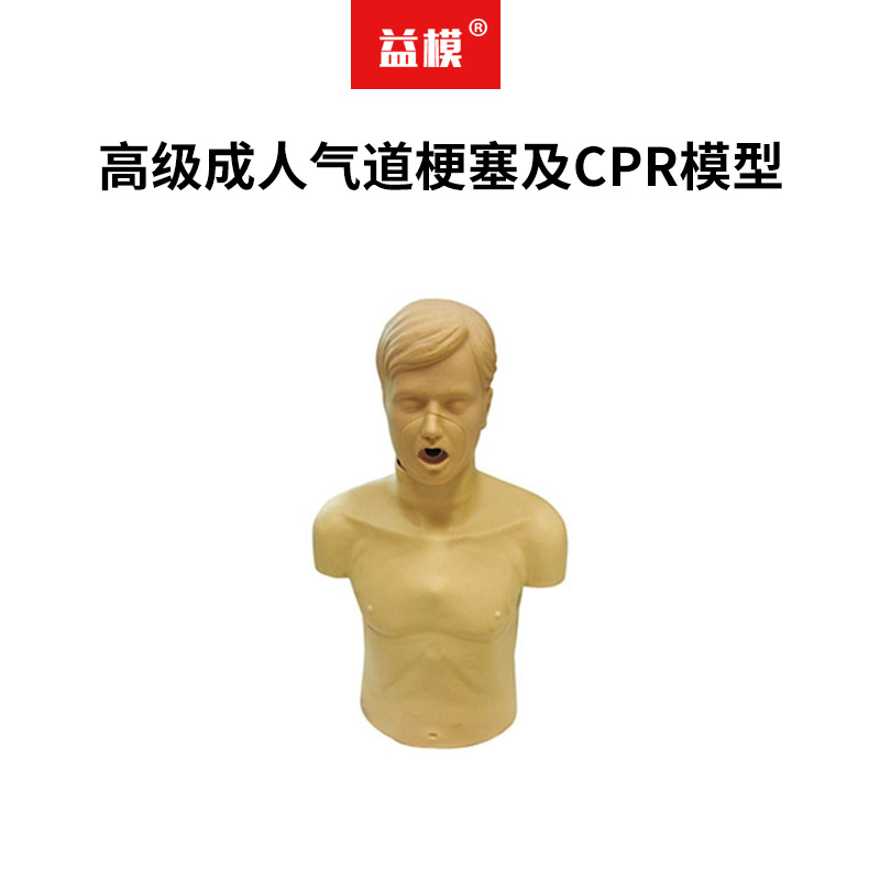 益模 高级成人气道梗塞及CPR模型 半身心肺复苏模拟人 海姆立克急救法操作教具气道异物阻塞腹部冲击技能操作
