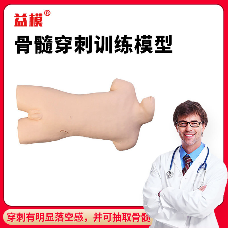 益模  骨髓穿刺训练模型 髂前上棘穿刺术训练 胸骨柄穿刺术训练 骨髓抽取练习人体模型教具
