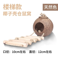 Кокосовое гнездо хомяка рекомендуется, чтобы сопоставить хлопок зимой