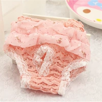 Санитарные салфетки биологические штаны Тедди домашний питомец тетушка маленькая середина середины собак капельные штаны Брохин во время менструации во время менструации собак и собак шарф