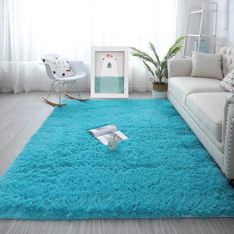 Shaggy Carpet for Living Room Home Plush Floor