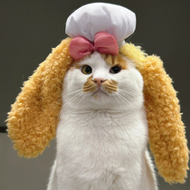 Cat cake headband chef dog birthday decoration hat golden retriever Shiba Inu boredom relief toy dog ​​walking cat artifact