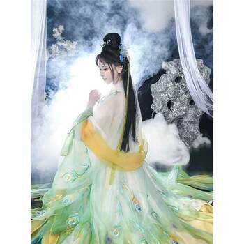 Original hanfu song dynasty-made straight-coat gown