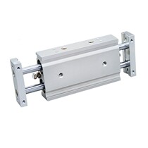 SMC Double Shaft Double Stroke Cylinder CXSW10X10X20X30X40X50X60X70X80X90X100X125X150