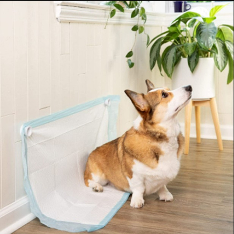 2 magnets dog toilet stickers sticky pet urine pads suction iron stickers pet supplies do not include urine pads