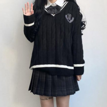 Academy style jk Japanese sweater female basic embroidery V-collar sweater wear autumn and winter 2020 New loose top