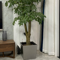 Thickened durable Nordic minimalist balcony potted plant with large caliber more than 30 in flower pots Large size 2022 new