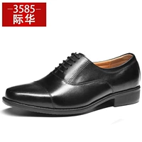 Модель стационарной линии (стандартный размер)