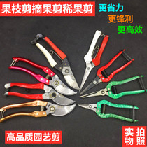 Fruit branch shears pruning branches pruning shears repairing flowers garden tools gardening scissors fruit tree scissors