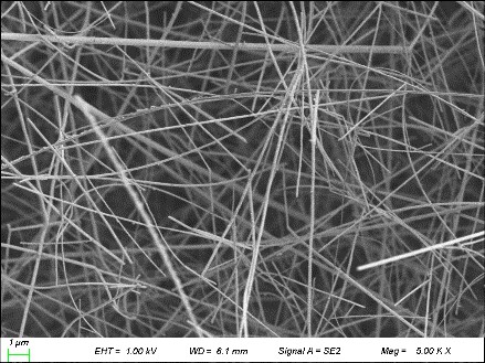 高纯纳米银线 20-30nm 99.9% 20-30um银纳米线导电性好科研实验用