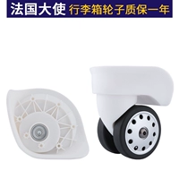 Французский посол A96 Белая большая пара