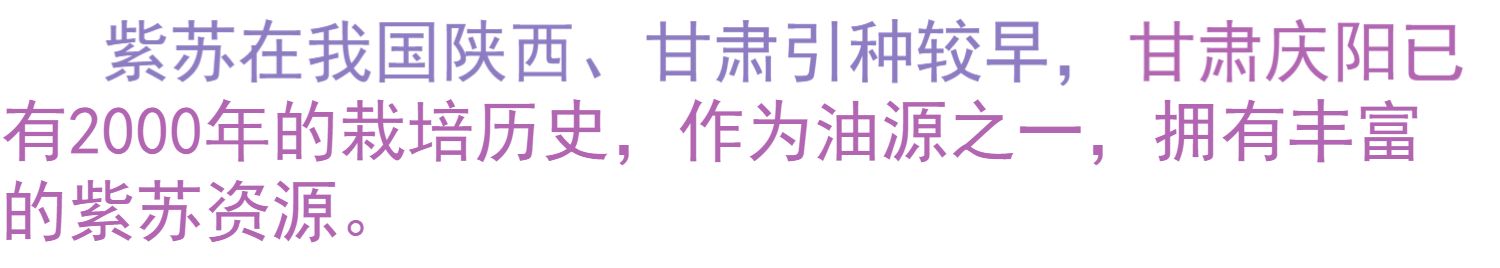 陇象一级食用孕妇亚麻酸紫苏油500ml