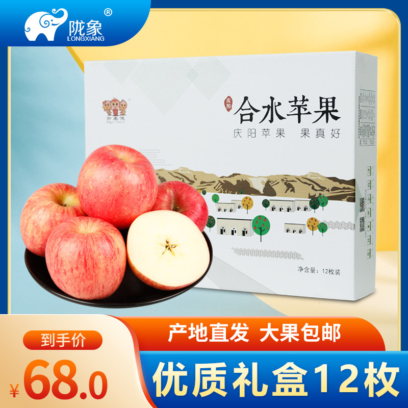 Longrus Qingyang Hehydrate Apple gift box 12 pieces with hand bag when season fresh fruit crisp sweet apple whole box