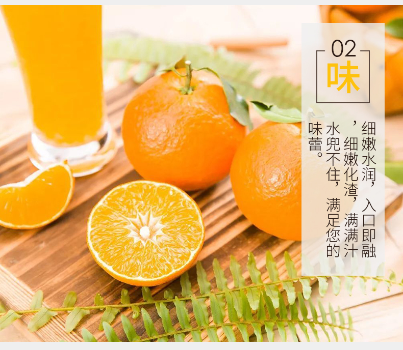 四川爱媛38号果冻橙 净重5斤 图3