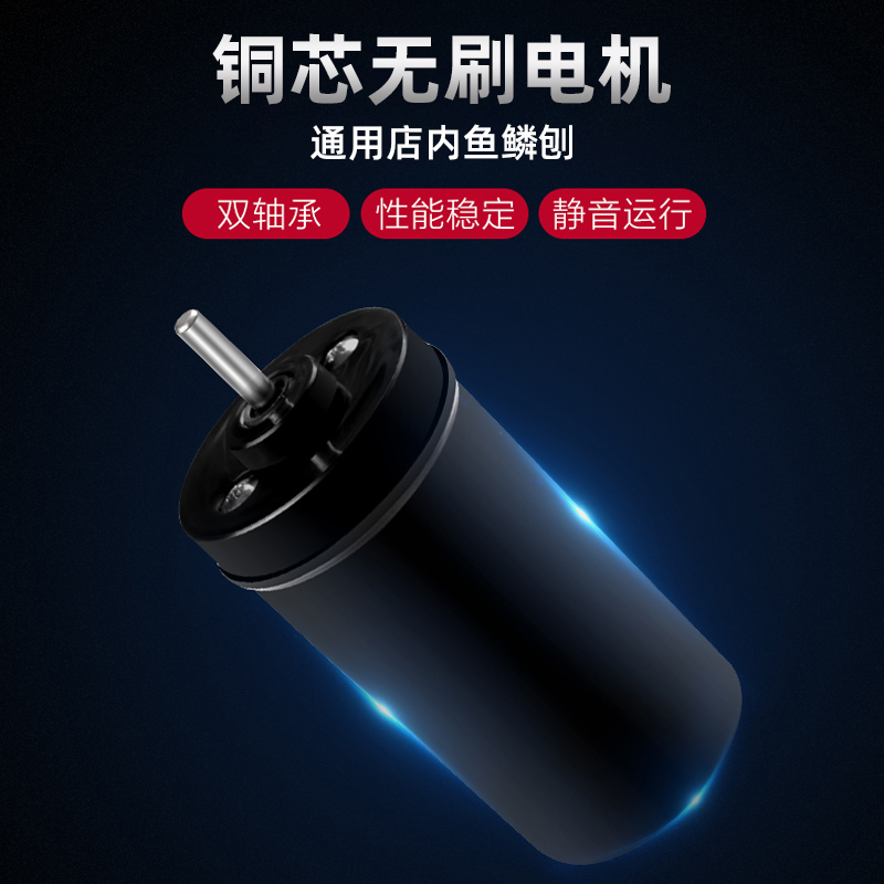 Electric scramps special motor accessories rechargeable double bearings pure brass wire lengthened plastic motor fish scale planing
