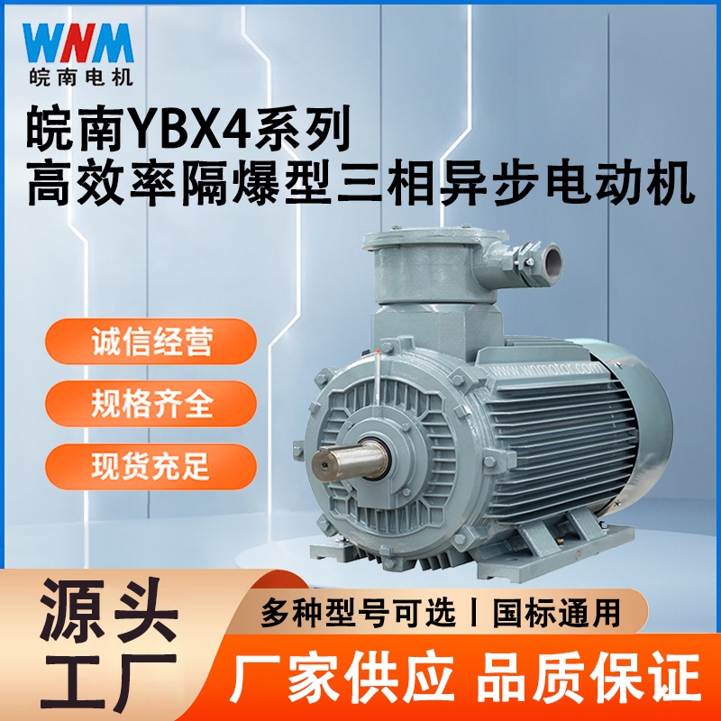 Anhui Wannan Ybx4 Explosion-Proof Electric Motor 1.1/1.5/3/4/5.5/7.5/11Kw Secondary Energy Efficiency Flameproof Type Anhui Wannan Ybx4 Explosion-Proof Electric Motor 1.1/1.5/3/4/5.5/7.5/11Kw Secondary Energy Efficiency Flameproof Type