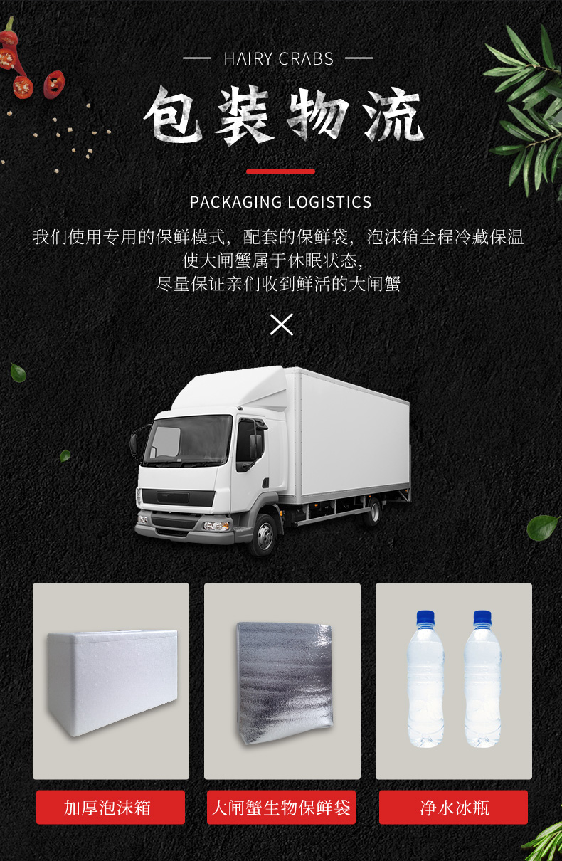 苏津 全母大闸蟹 10只 单只1.6-2.0两 图3