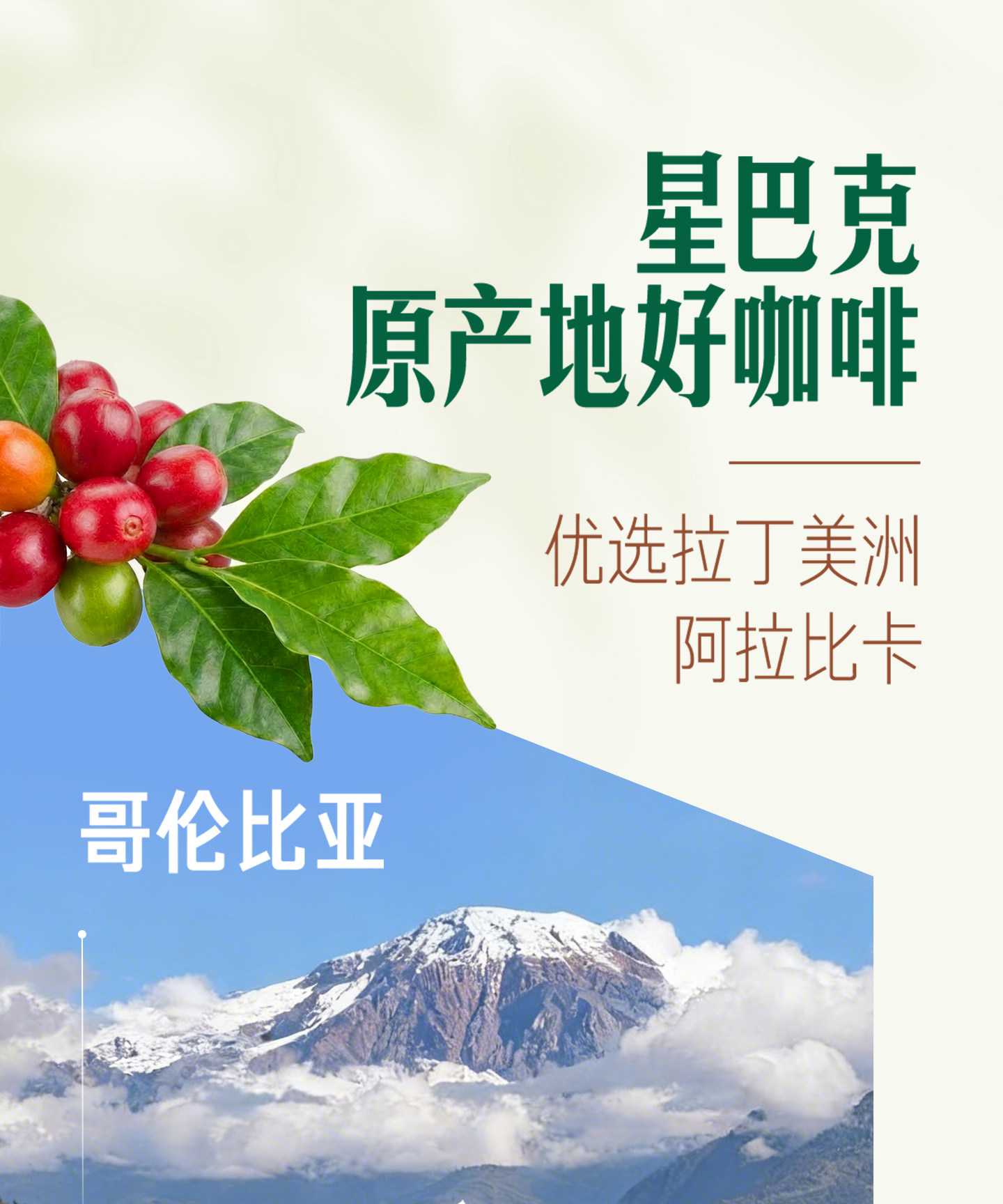 安享好物 安享E级即饮咖啡-星巴克椰香 丝绒拿铁 国标 
