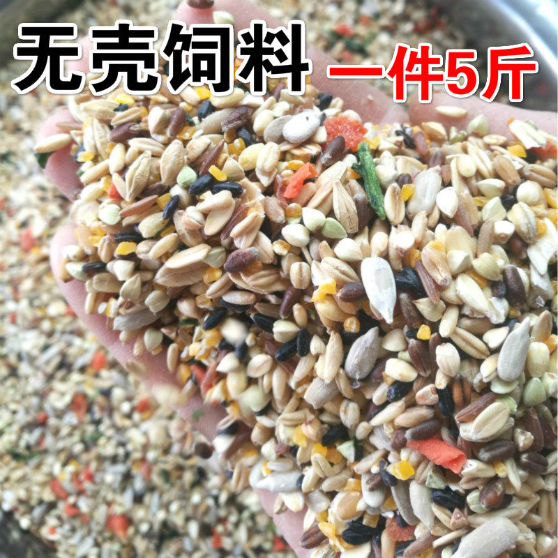 New grain parrot feed small Taiyang bird food Jin Dayang medium-sized Kingsteel Alex shellless feed 5 catties