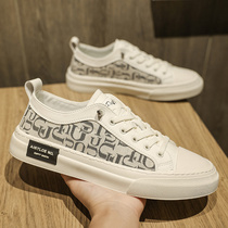 One foot pedal mens shoes Summer style Breathable Sail Fabric Shoes 2022 New Casual Board Shoes Summer Thin and Damp Cloth Shoes Man