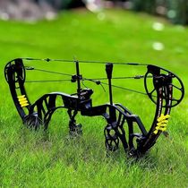 2024 Apex Acuity compound bow hunting bow and arrow set high arrow speed outdoor bow 80 pounds optional