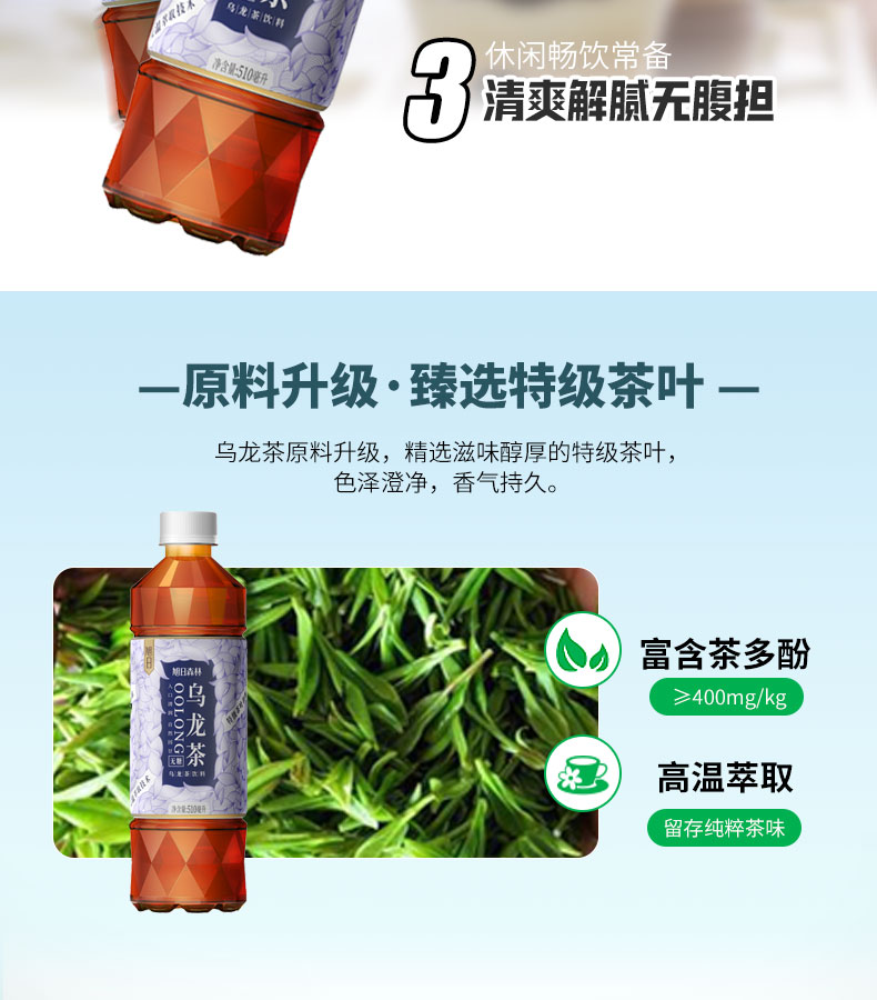 旭日森林无糖乌龙茶饮料510ml*15瓶