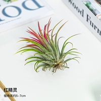 Красный эльф