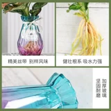 Гидропонная новая домашняя утиная утка