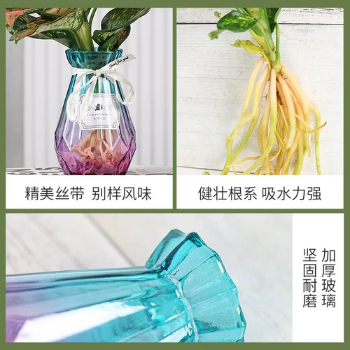 Гидропонная новая домашняя утиная утка