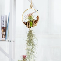 Деревянное кольцо