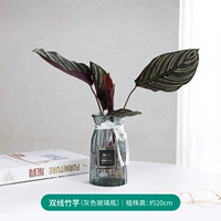 Два -линейные маяки+серая стеклянная бутылка оригами