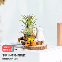 Деревянная пленка маленький животный белый медведь