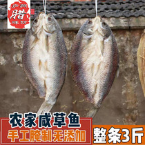 Anhui specialty preserved meat and salted goods farmhouse hand-cured salted fish dried grass carp whole 3 catties of salted fish