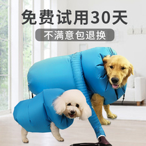 Pet Drying Box Large Canine Dog Buggy Dryer dryer Home Blow God Instrumental Bath FIXED GOLDEN HAIR BAG