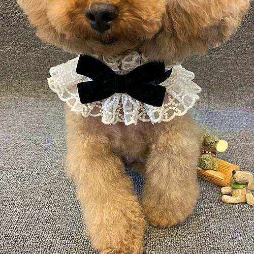 Слюнявчик, шарф, нагрудник, галстук-бабочка, аксессуар, чокер