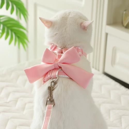 Кошка ходящая веревка фрактериации слайд -кошачья кошка на улице кошка кошка кошка кошка кот кот кошачья веревка для кошки