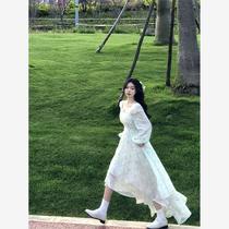 Legal name Yuanyuan Sweet And Broken Flower Irregular Long Dress 2024 Spring Gentle Fairy woman long sleeve square neckline to get a dress