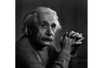 Einsteins brain will automatically grow onto your brain after being photographed. Everyone who has photographed it says its good.