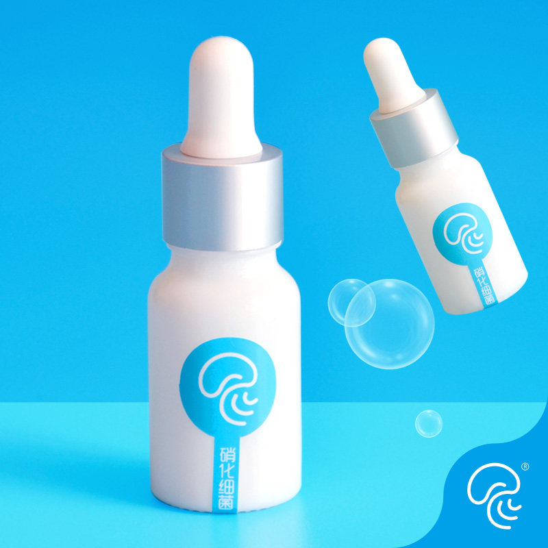 Jellyfish Probiotic Sea Moon Living Protectant Nitrobacteria Jellyfish Jellyfish Jellyfish Imported Nitrobacteria Water Purification