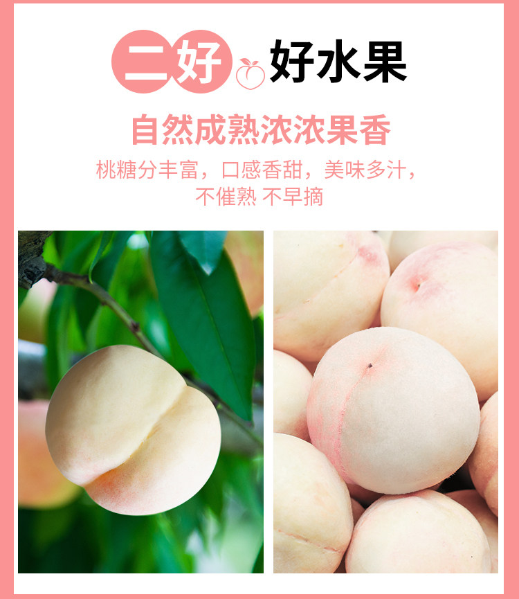 安享好物 安享A级果汁-福兰农庄nfc桃汁 国标 