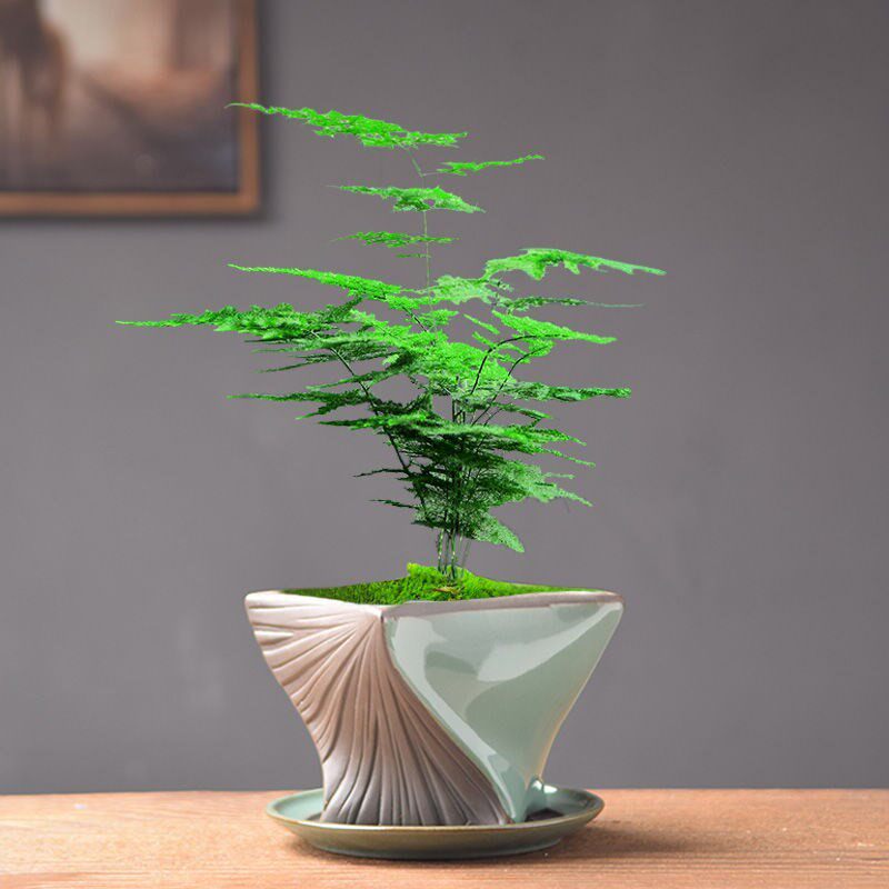 Flower pot 2021 new living room bonsai European style modern fashion simple balcony flower special green plant creative personality